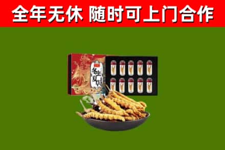 新宁回收冬虫夏草价格